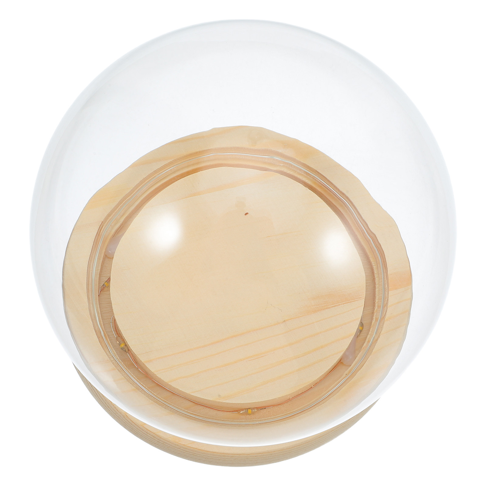 Plastic Dome Clear - Dried Flower Glass Dome Display Cover
