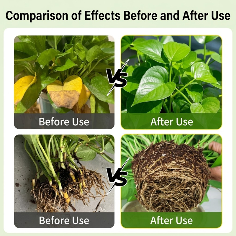 Plant Rooting Solution Rooting - Rooting Hormone Powder review and price
