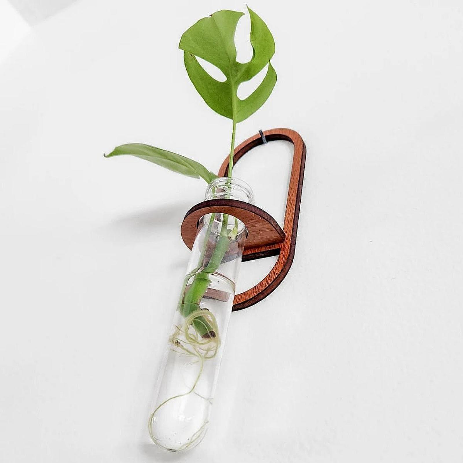Hydroponic Plant Vase Wooden W - Propagation Station Vase review and price