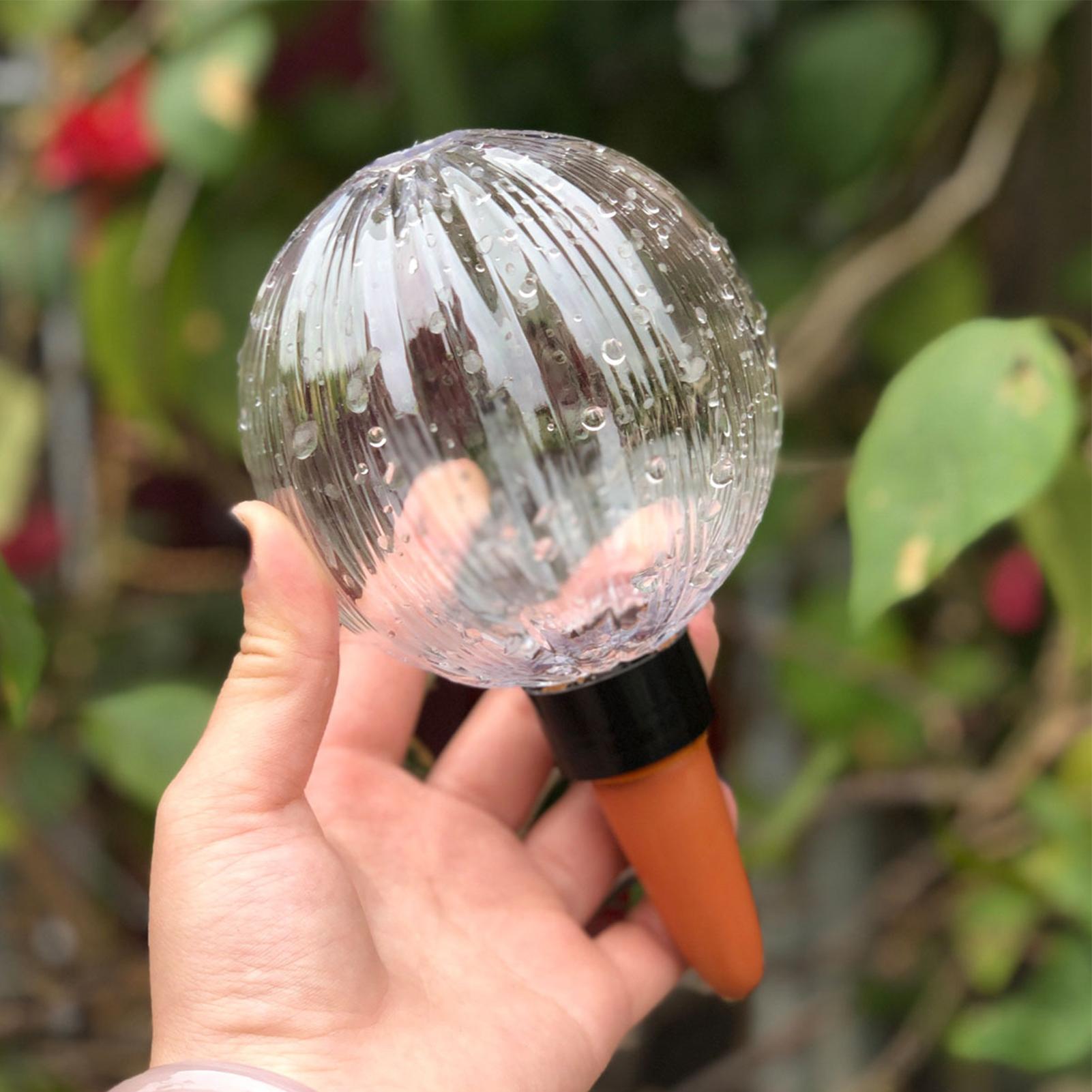 Self Watering Planter Insert 5 - Self Watering Insert review and price