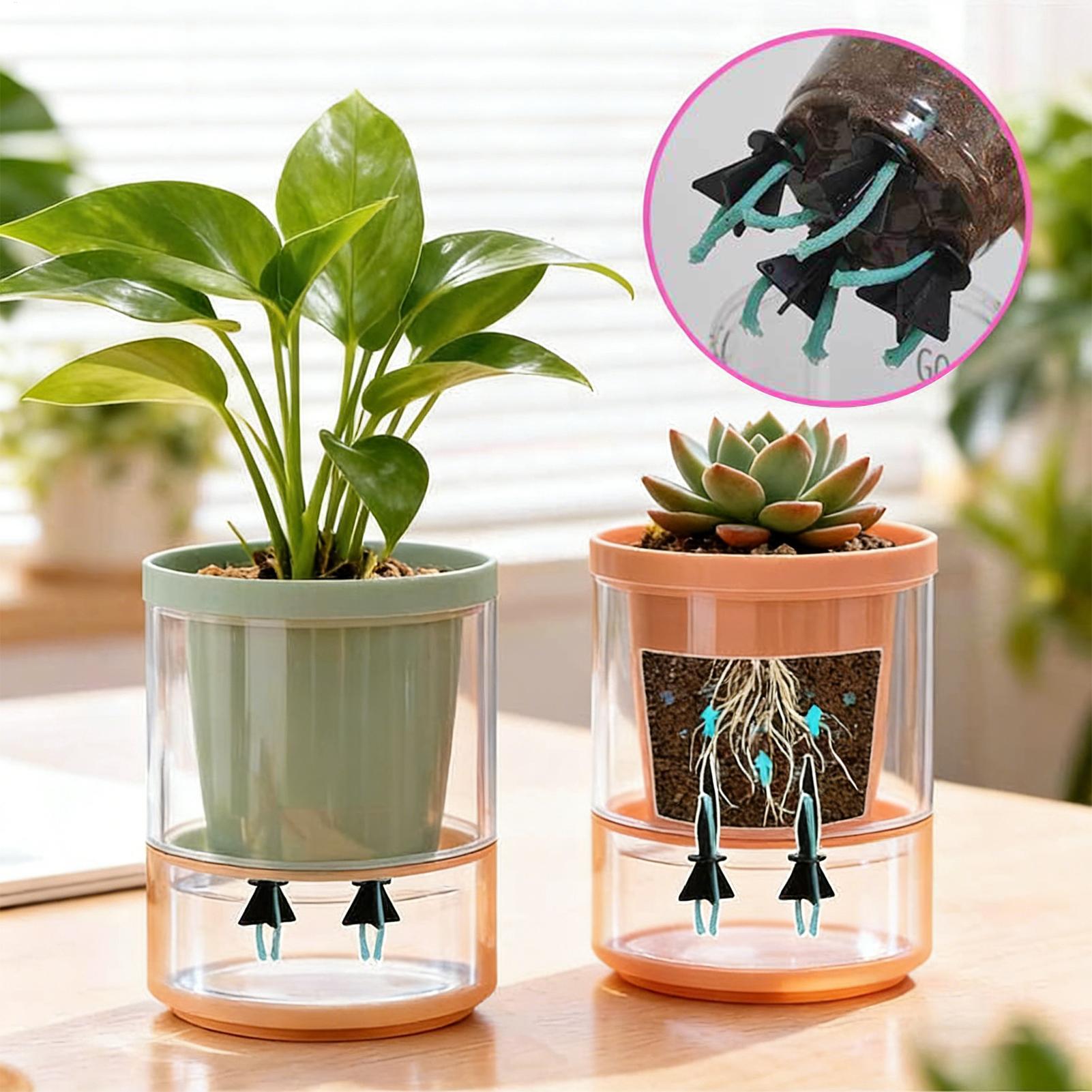 Self Watering Planter Insert 4 - Self Watering Insert review and price