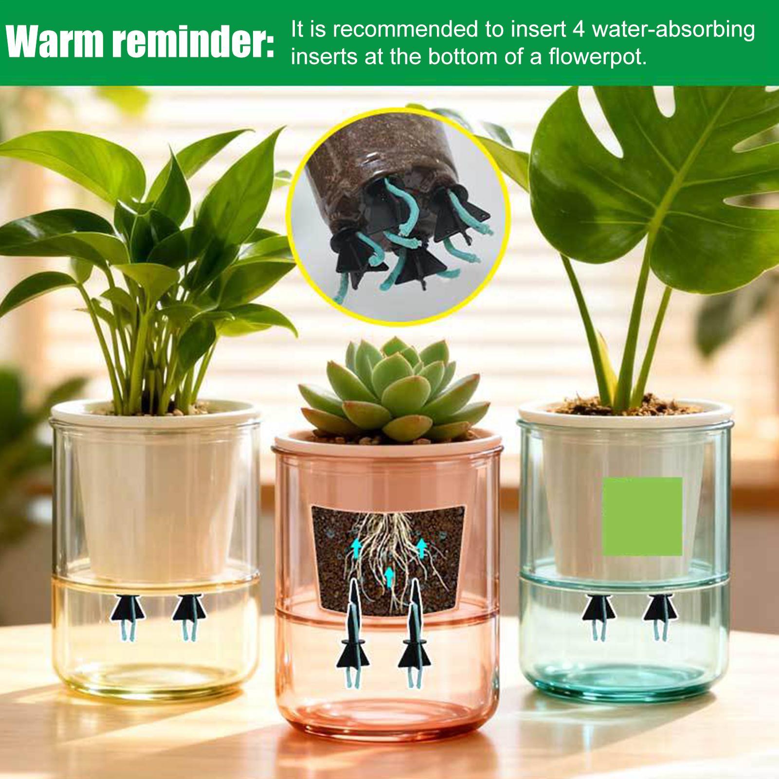 Self Watering Planter Insert 4 - Self Watering Insert review and price