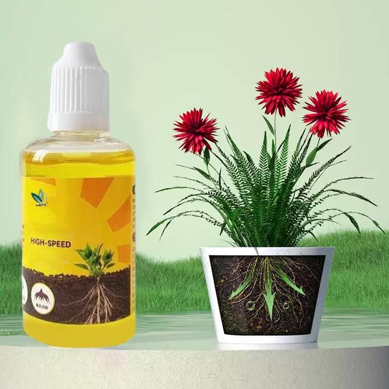 50ml Plant Root Stimulator Liq - Rooting Hormone Powder review and price