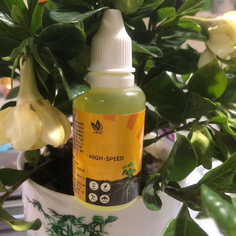 50ml Plant Root Stimulator Liq - Rooting Hormone Powder review and price