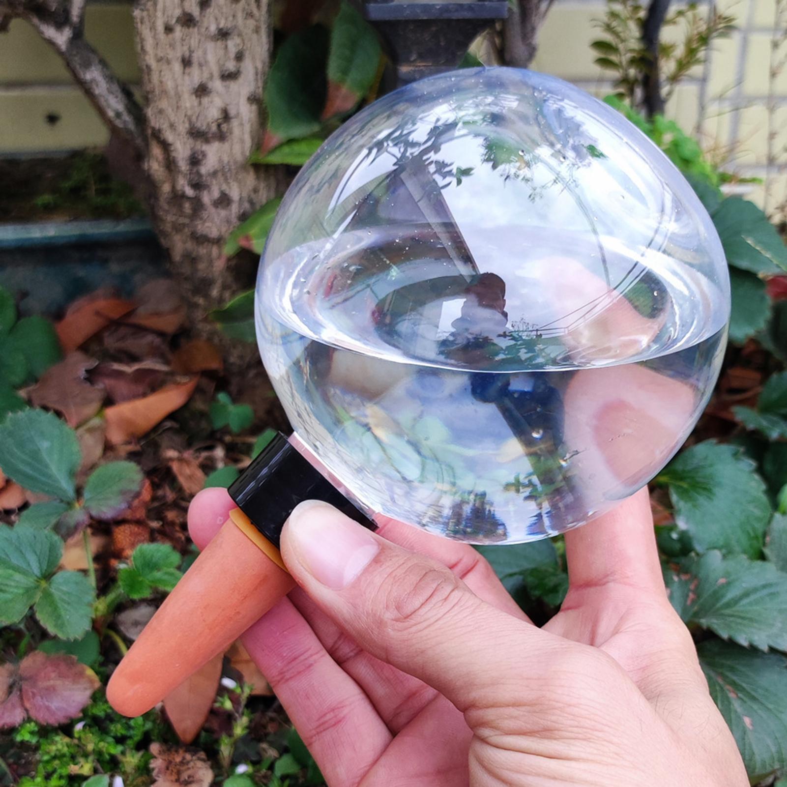 500ml Automatic Watering Globe - Self Watering Insert review and price