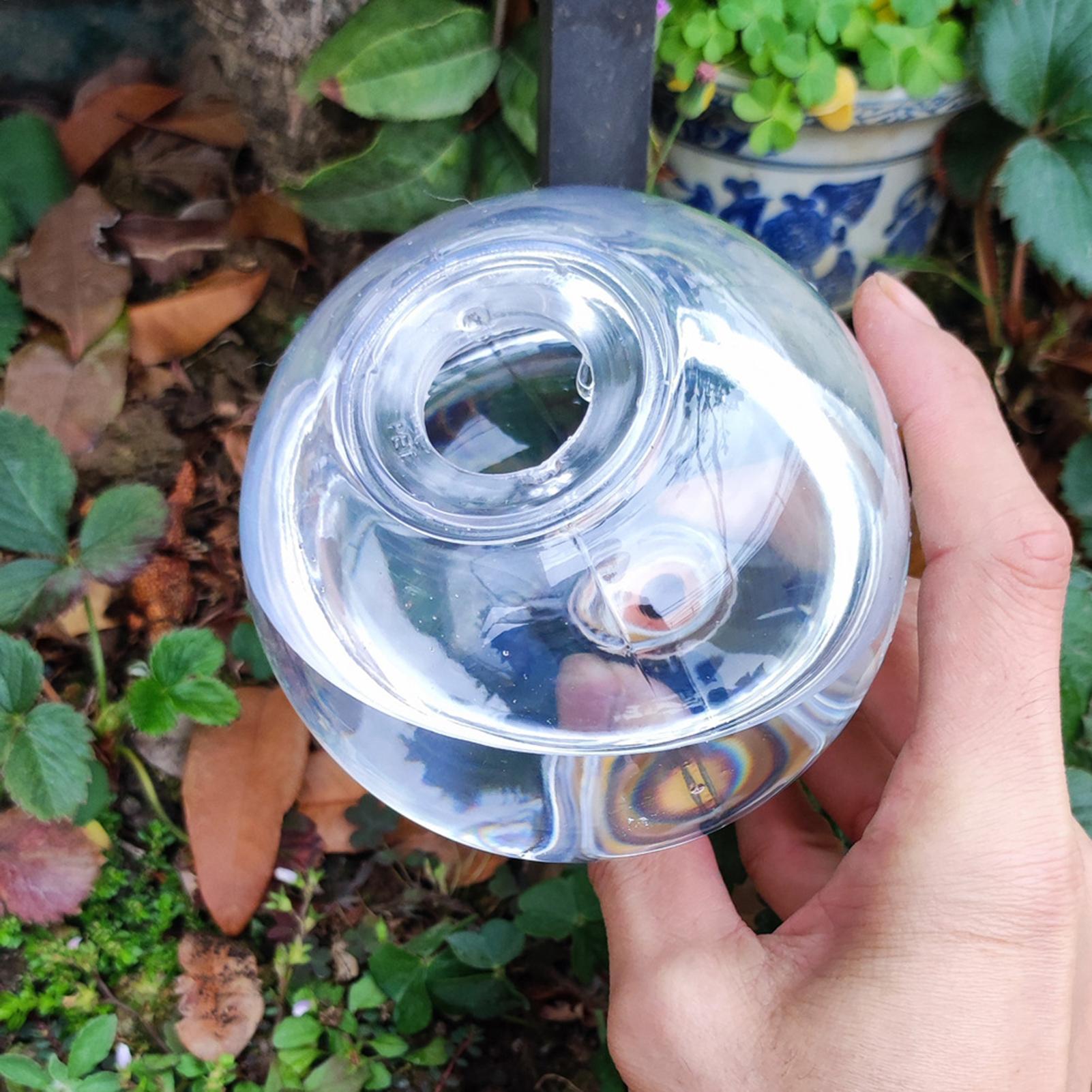 500ml Automatic Watering Globe - Self Watering Insert review and price