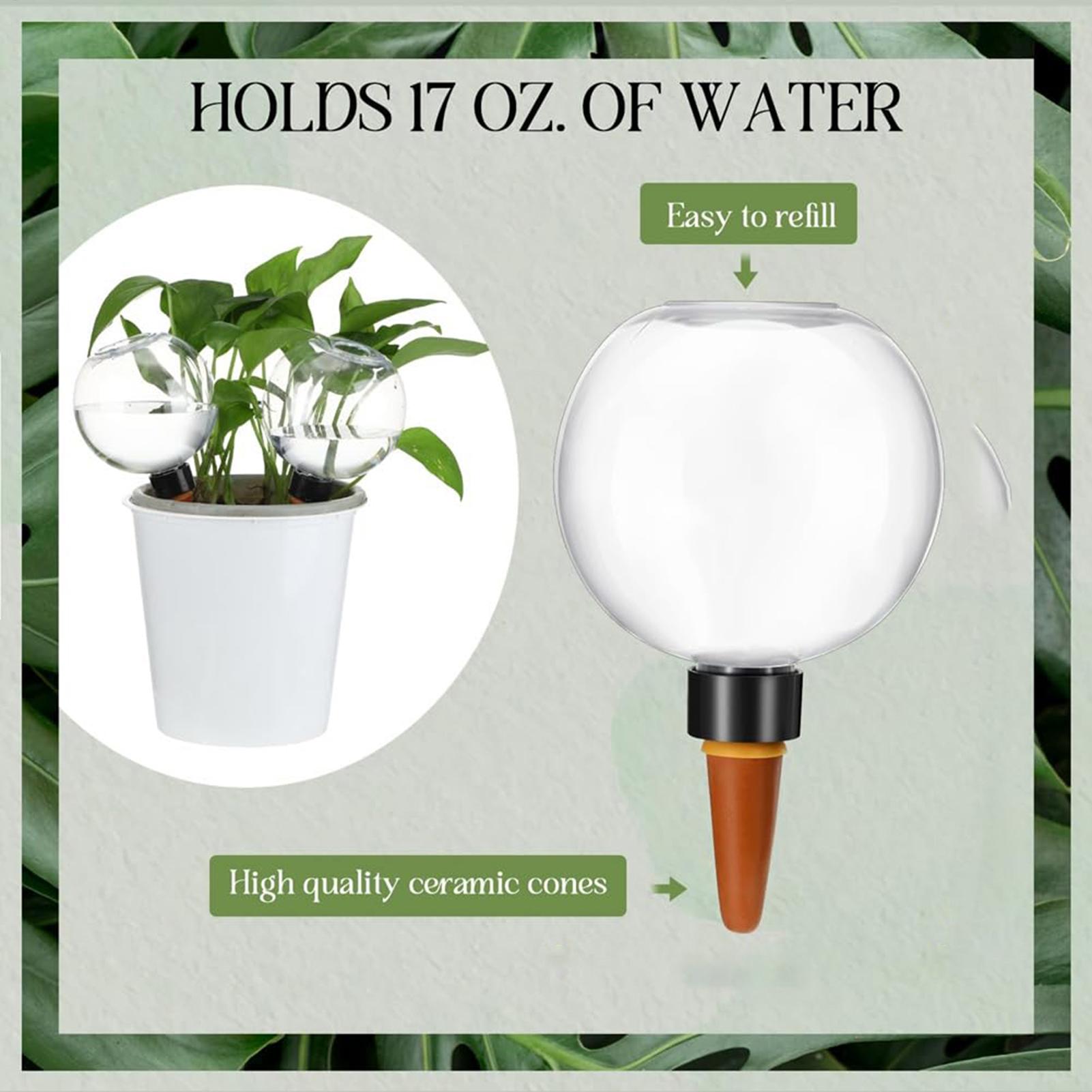 500ml Automatic Watering Globe - Self Watering Insert review and price