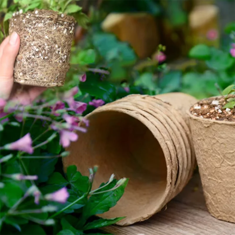 50 Pcs  Garden Round Peat Pots - Peat Pellet Tray review and price