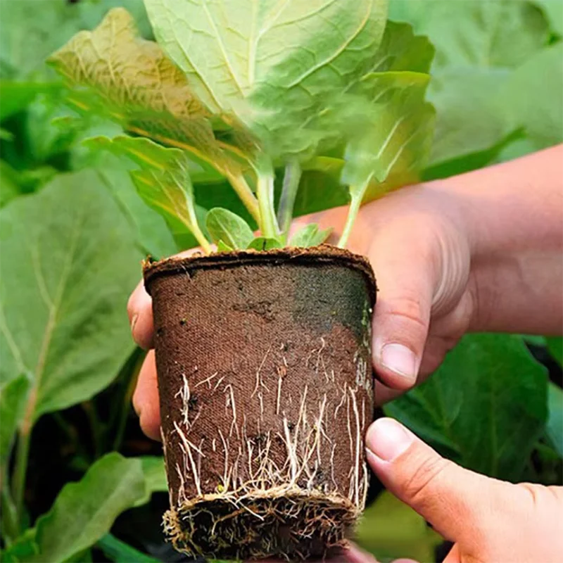 50 Pcs  Garden Round Peat Pots - Peat Pellet Tray review and price