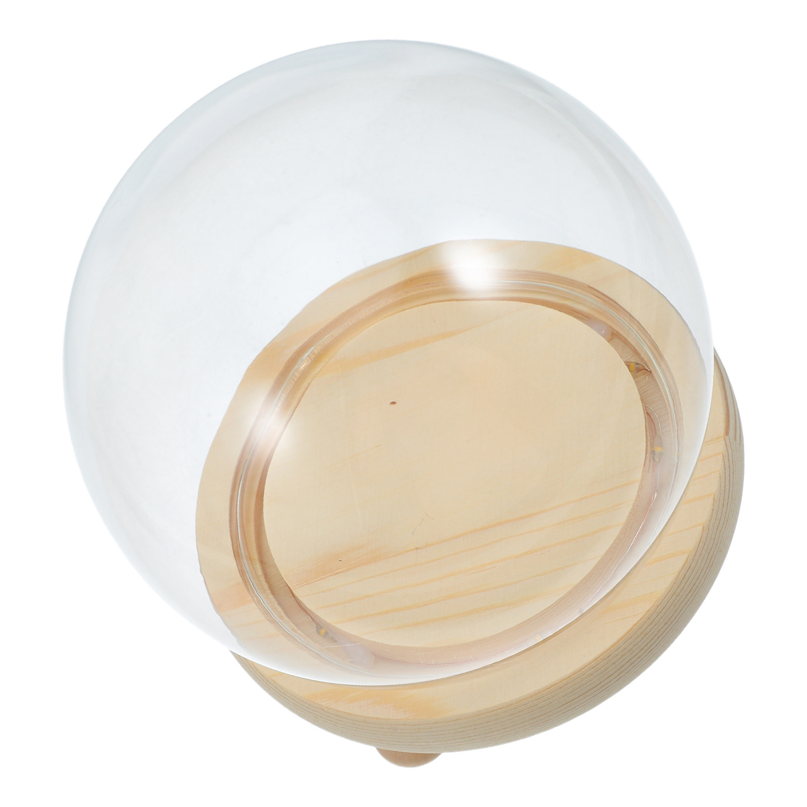 Dried Flower Glass Dome Displa - Plastic Dome Clear review and price